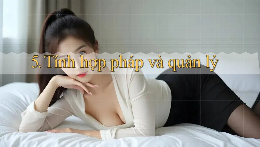 5. Tính hợp pháp và quản lý
