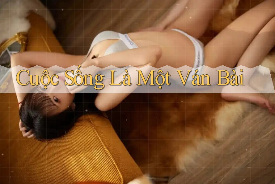 Cuộc Sống Là Một Ván Bài