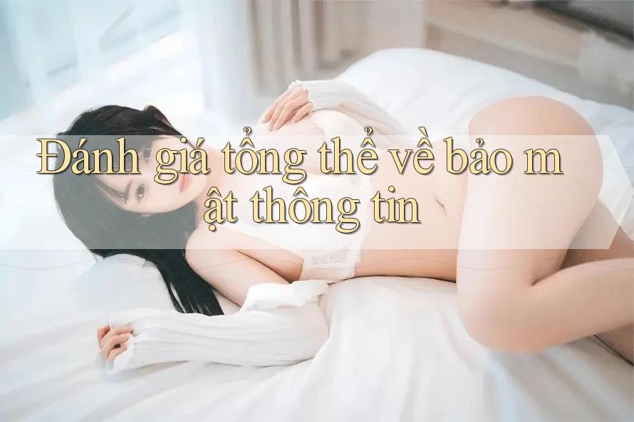 Đánh giá tổng thể về bảo mật thông tin