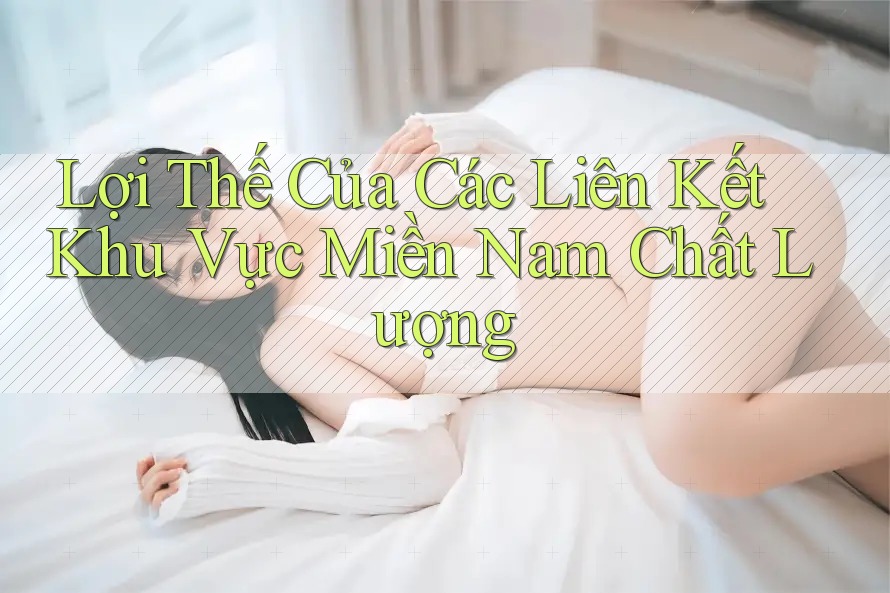 Lợi Thế Của Các Liên Kết Khu Vực Miền Nam Chất Lượng
