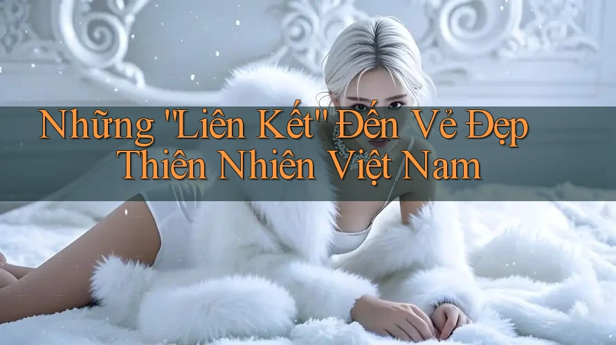 Những “Liên Kết” Đến Vẻ Đẹp Thiên Nhiên Việt Nam