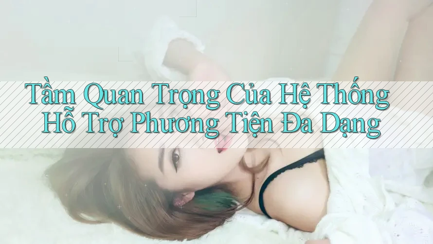 Tầm Quan Trọng Của Hệ Thống Hỗ Trợ Phương Tiện Đa Dạng